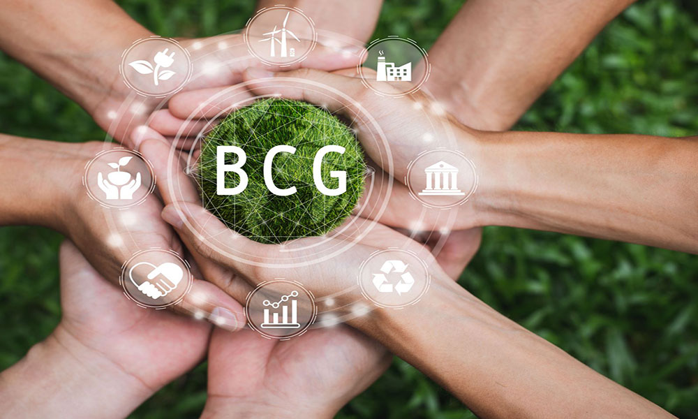 مزایای ماتریس رشد BCG