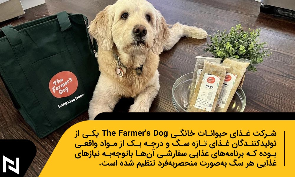 The Farmer's Dog شرکت غذای حیوانات خانگی